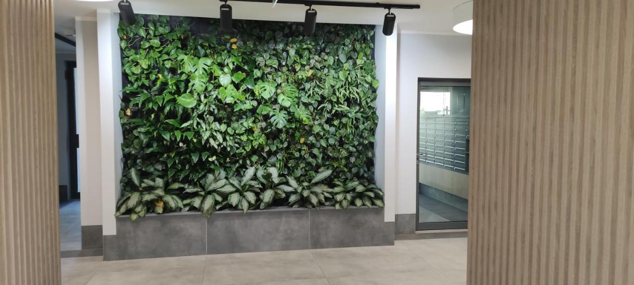 Apartament Centrum 比得哥什 外观 照片