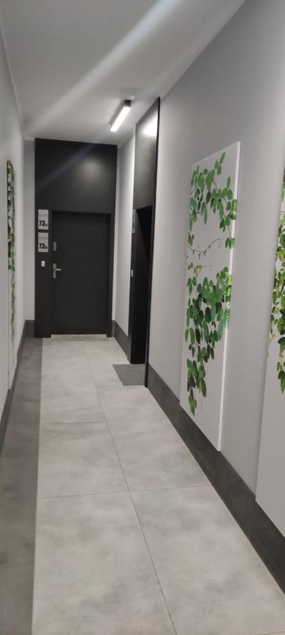 Apartament Centrum 比得哥什 外观 照片